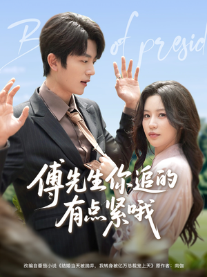 傅先生你追的有点紧哦（95集）全集完整版
