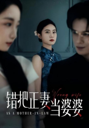 错把正妻当婆婆（46集）短剧精彩不断