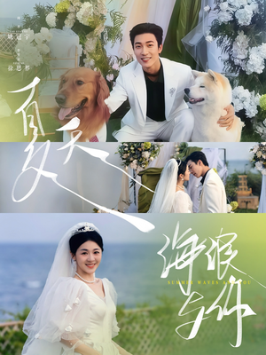 夏天，海浪与你（76集）怎么看全集