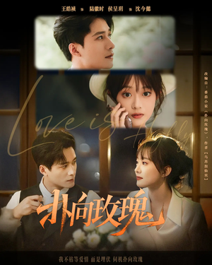 扑向玫瑰（77集）无需会员轻松看