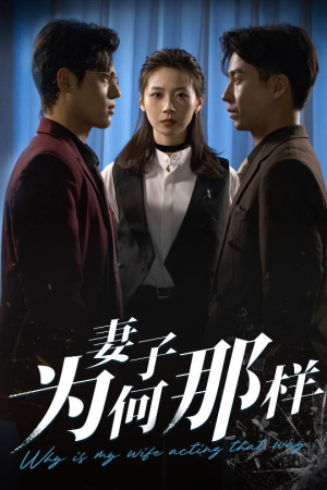 妻子为何那样（60集）精彩好看短剧