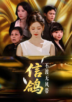 信鸽不渡无风带（65集）流畅播放免费看