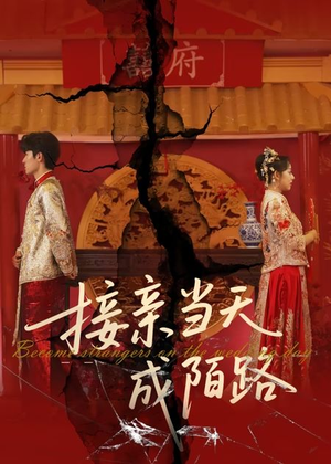 接亲当天成陌路（50集）看过的人都说好