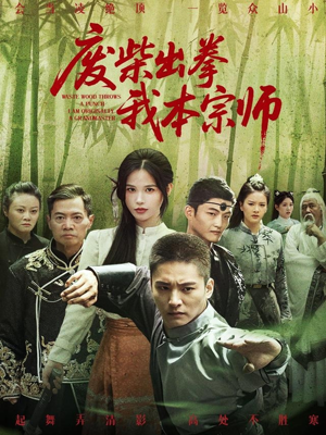 废柴出拳我本宗师（61集）短剧越看越精彩