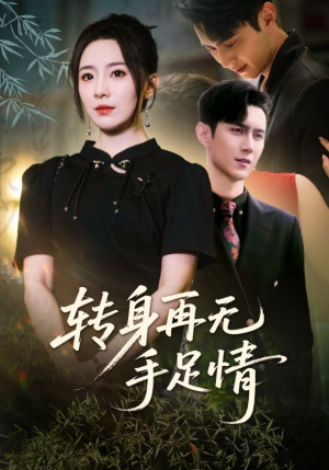 转身再无手足情（71集）好看短剧追不停