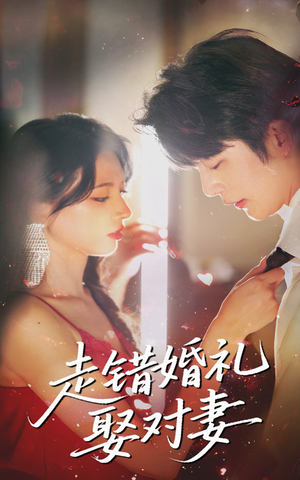走错婚礼娶对妻（60集百度网盘资源