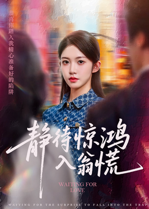 静待惊鸿入翁慌（40集）女主角是谁